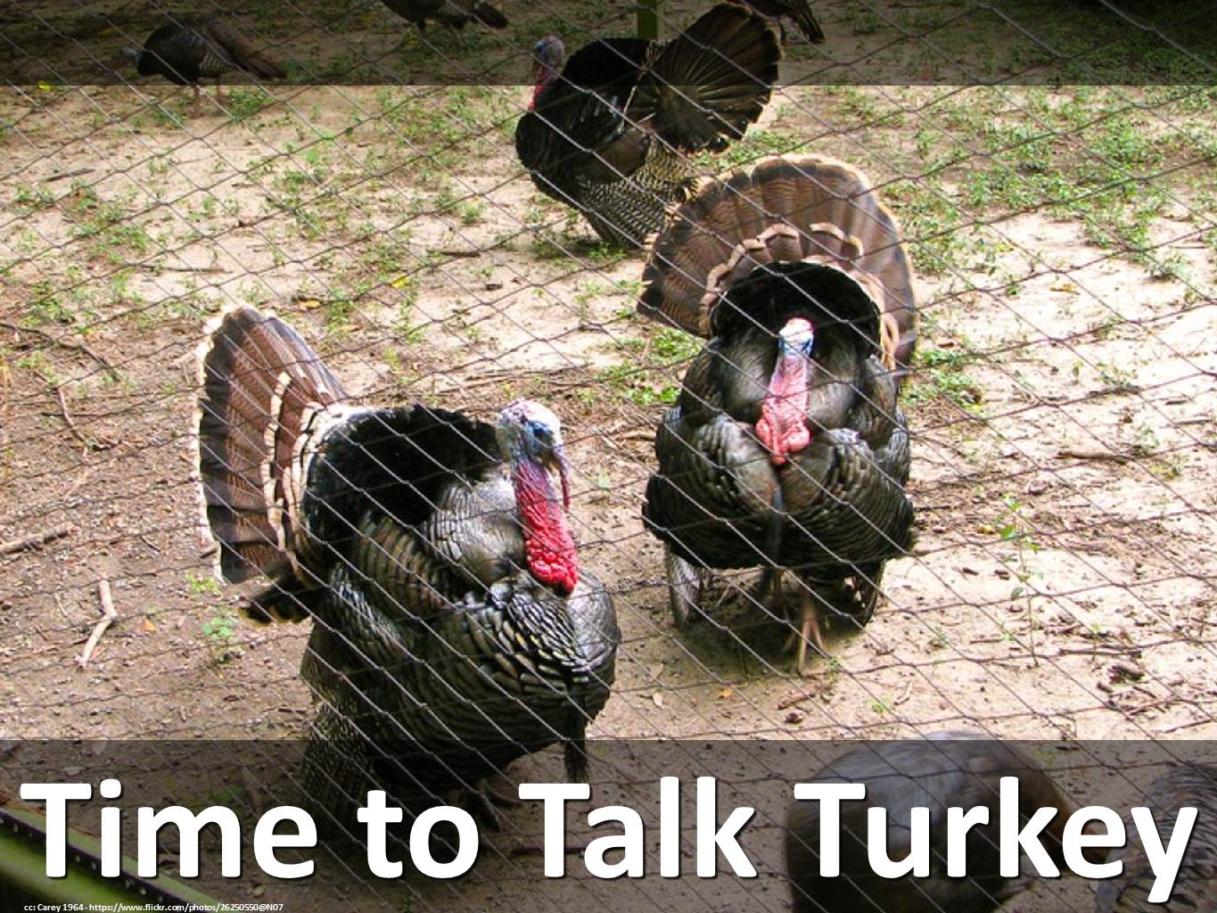 Time to Talk Turkey!