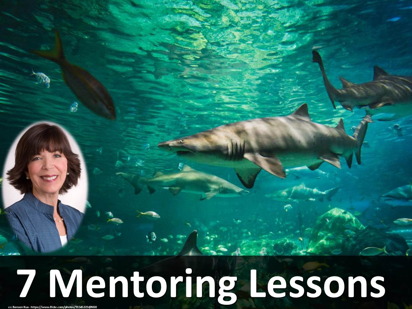 7 Mentoring Lessons from Shark Tank