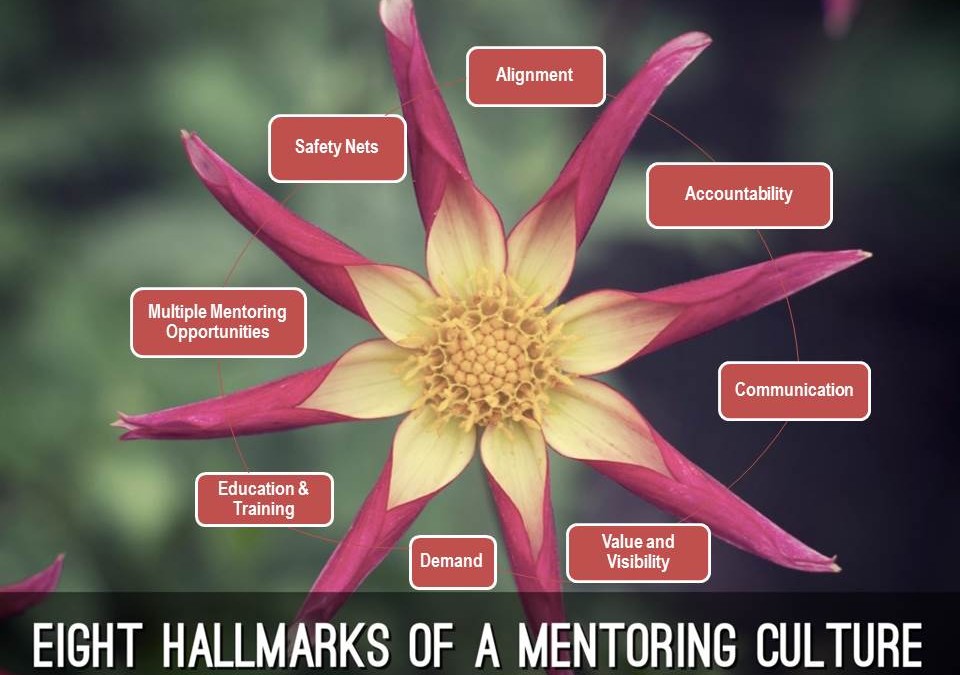 Are You Building A Mentoring Culture?